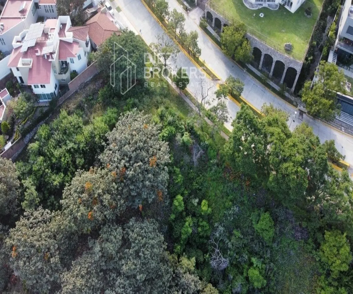 Terreno En Venta,El Palomar,Avenida Paseo del Palomar 26, Palomar, Jalisco 45643,Avenida Paseo del Palomar,1,pd54C1N Terreno En Venta,El Palomar,Avenida Paseo del Palomar 26, Palomar, Jalisco 45643,Avenida Paseo del Palomar,1,pd54C1N