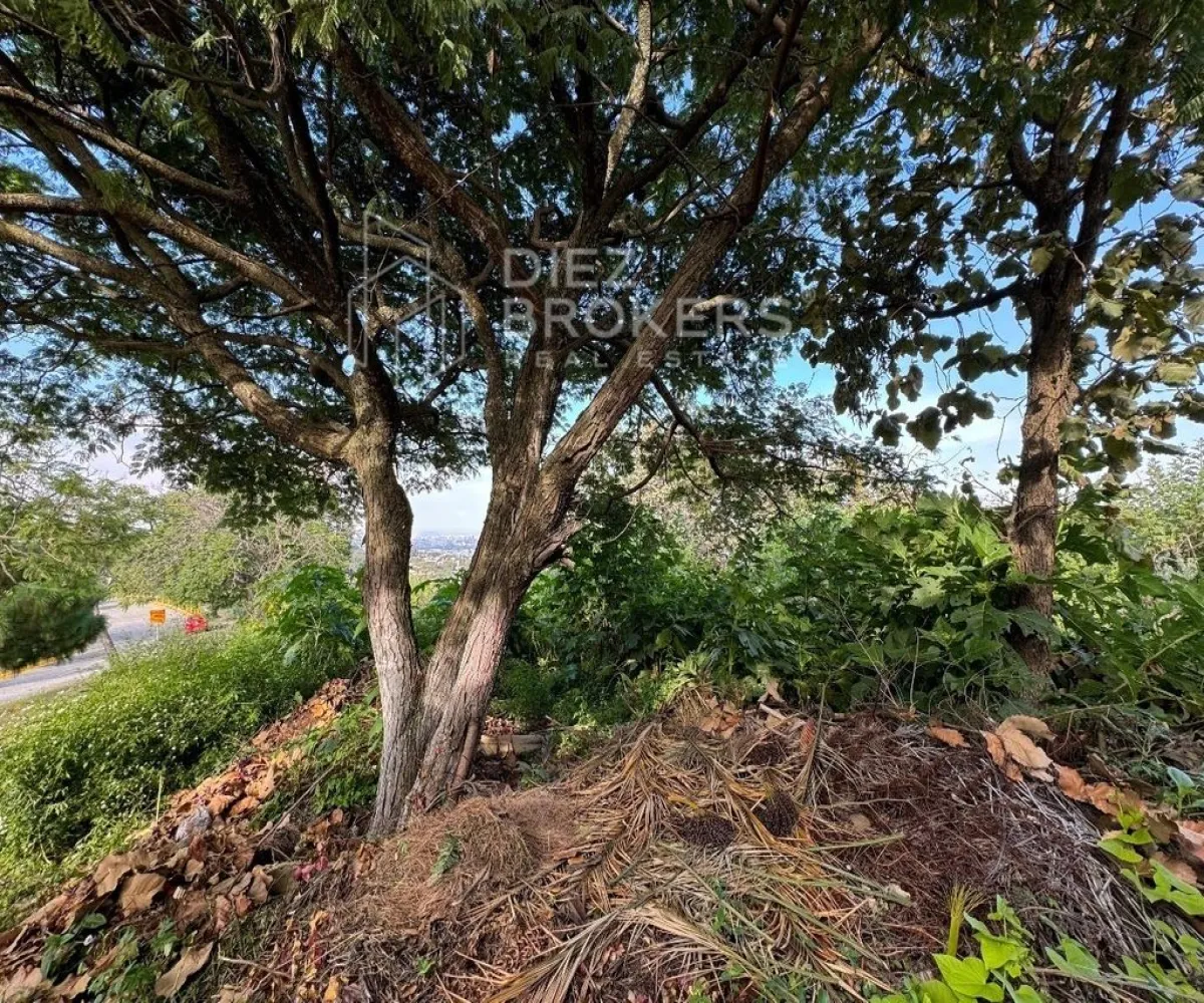 Terreno En Venta,El Palomar,Avenida Paseo del Palomar 26, Palomar, Jalisco 45643,Avenida Paseo del Palomar,1,pd54C1N Terreno En Venta,El Palomar,Avenida Paseo del Palomar 26, Palomar, Jalisco 45643,Avenida Paseo del Palomar,1,pd54C1N