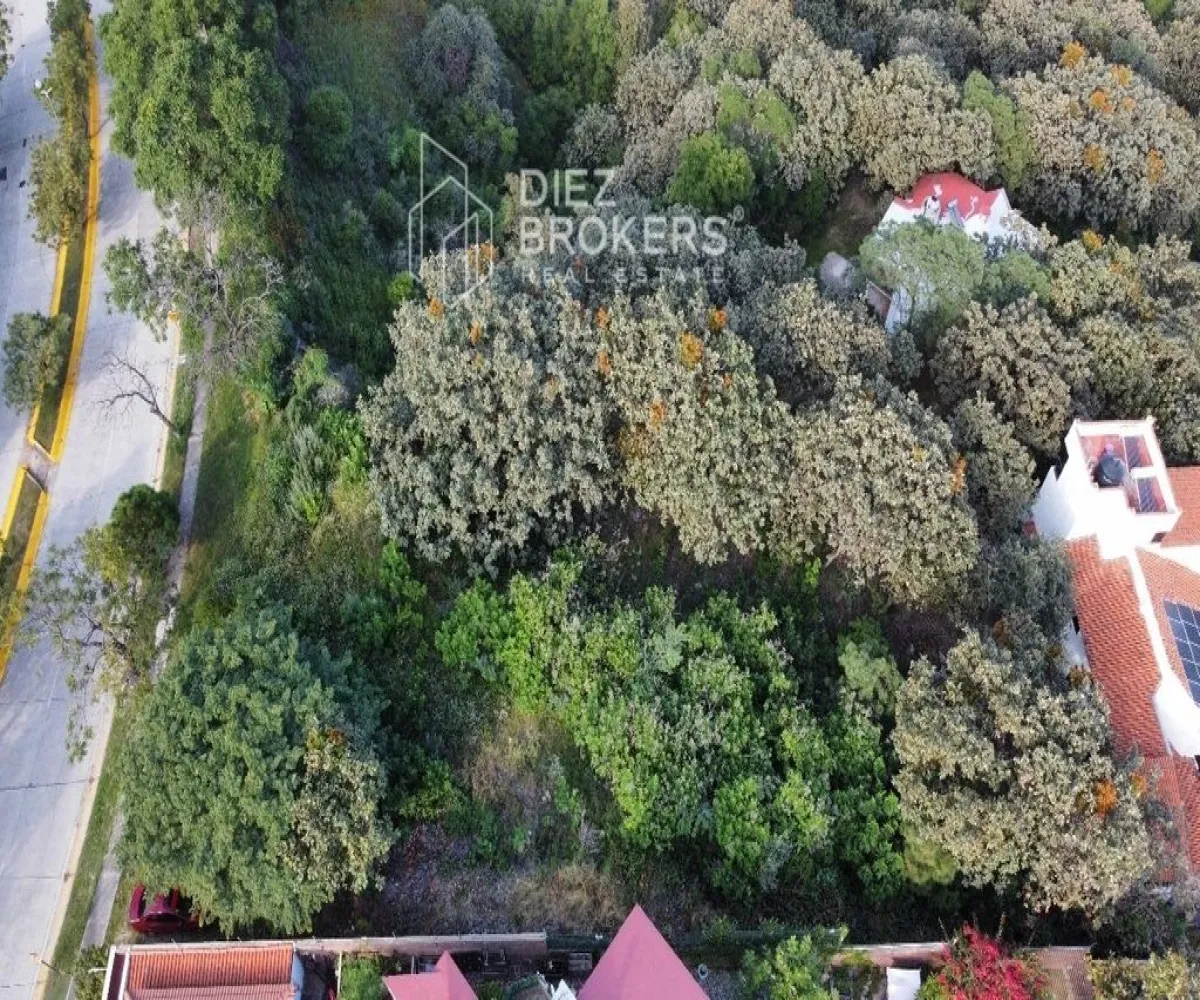 Terreno En Venta,El Palomar,Avenida Paseo del Palomar 26, Palomar, Jalisco 45643,Avenida Paseo del Palomar,1,pd54C1N Terreno En Venta,El Palomar,Avenida Paseo del Palomar 26, Palomar, Jalisco 45643,Avenida Paseo del Palomar,1,pd54C1N