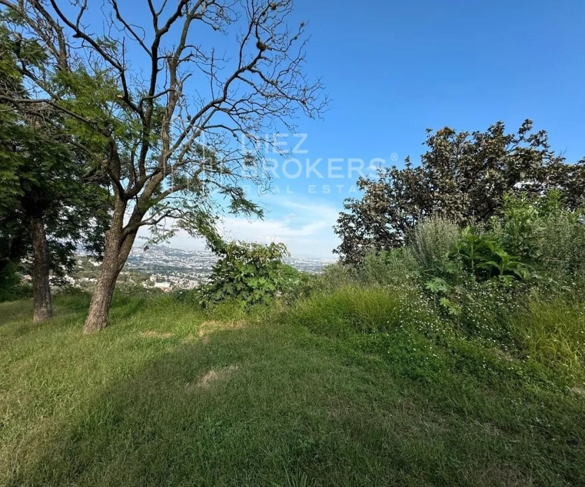 Terreno En Venta,El Palomar,Avenida Paseo del Palomar 26, Palomar, Jalisco 45643,Avenida Paseo del Palomar,1,pd54C1N Terreno En Venta,El Palomar,Avenida Paseo del Palomar 26, Palomar, Jalisco 45643,Avenida Paseo del Palomar,1,pd54C1N