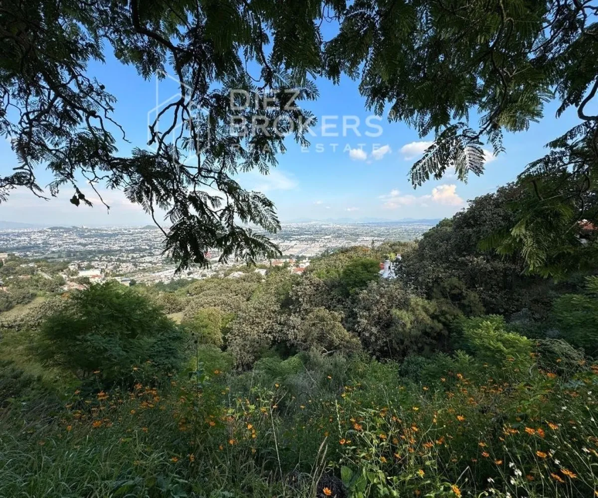 Terreno En Venta,El Palomar,Avenida Paseo del Palomar 26, Palomar, Jalisco 45643,Avenida Paseo del Palomar,1,pd54C1N Terreno En Venta,El Palomar,Avenida Paseo del Palomar 26, Palomar, Jalisco 45643,Avenida Paseo del Palomar,1,pd54C1N