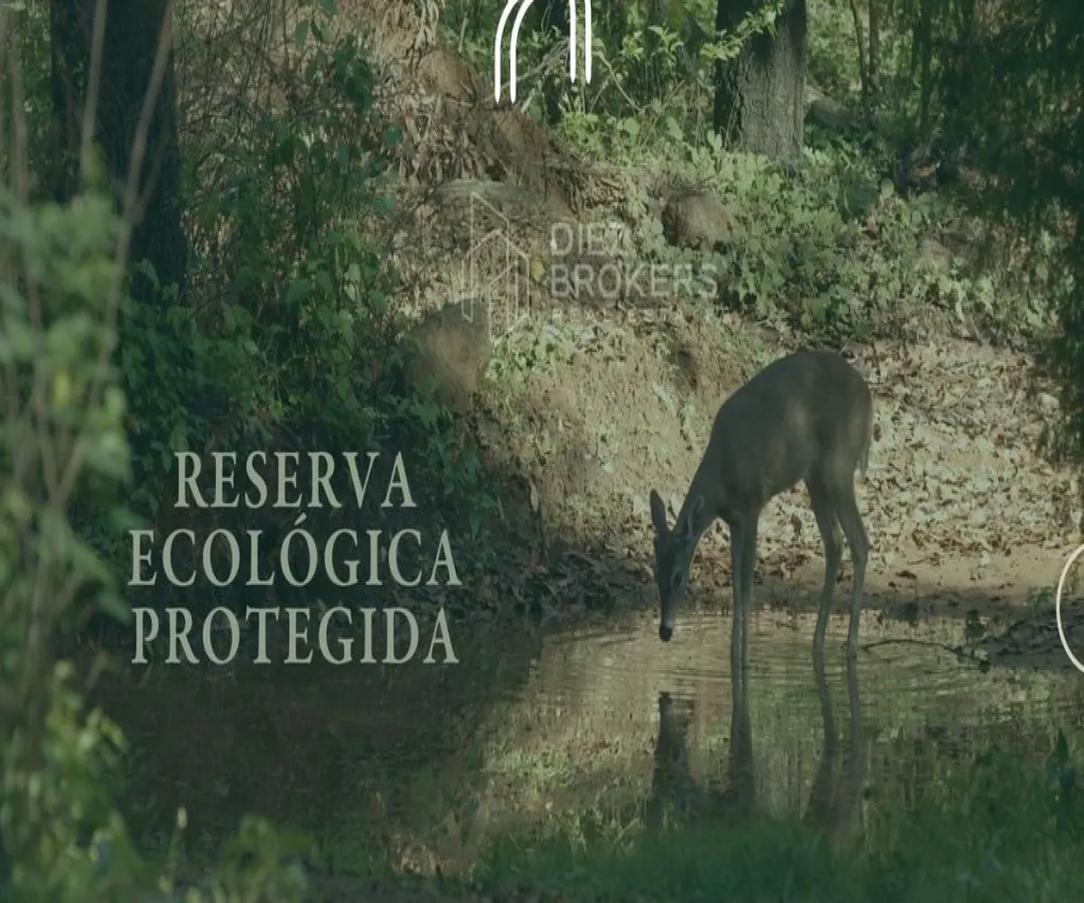 Terreno En Venta,Reserva de los encinos,Reserva de los encinos 0, Teuchitlan, Jalisco 46764,Reserva de los encinos,1,pke9l3m Terreno En Venta,Reserva de los encinos,Reserva de los encinos 0, Teuchitlan, Jalisco 46764,Reserva de los encinos,1,pke9l3m