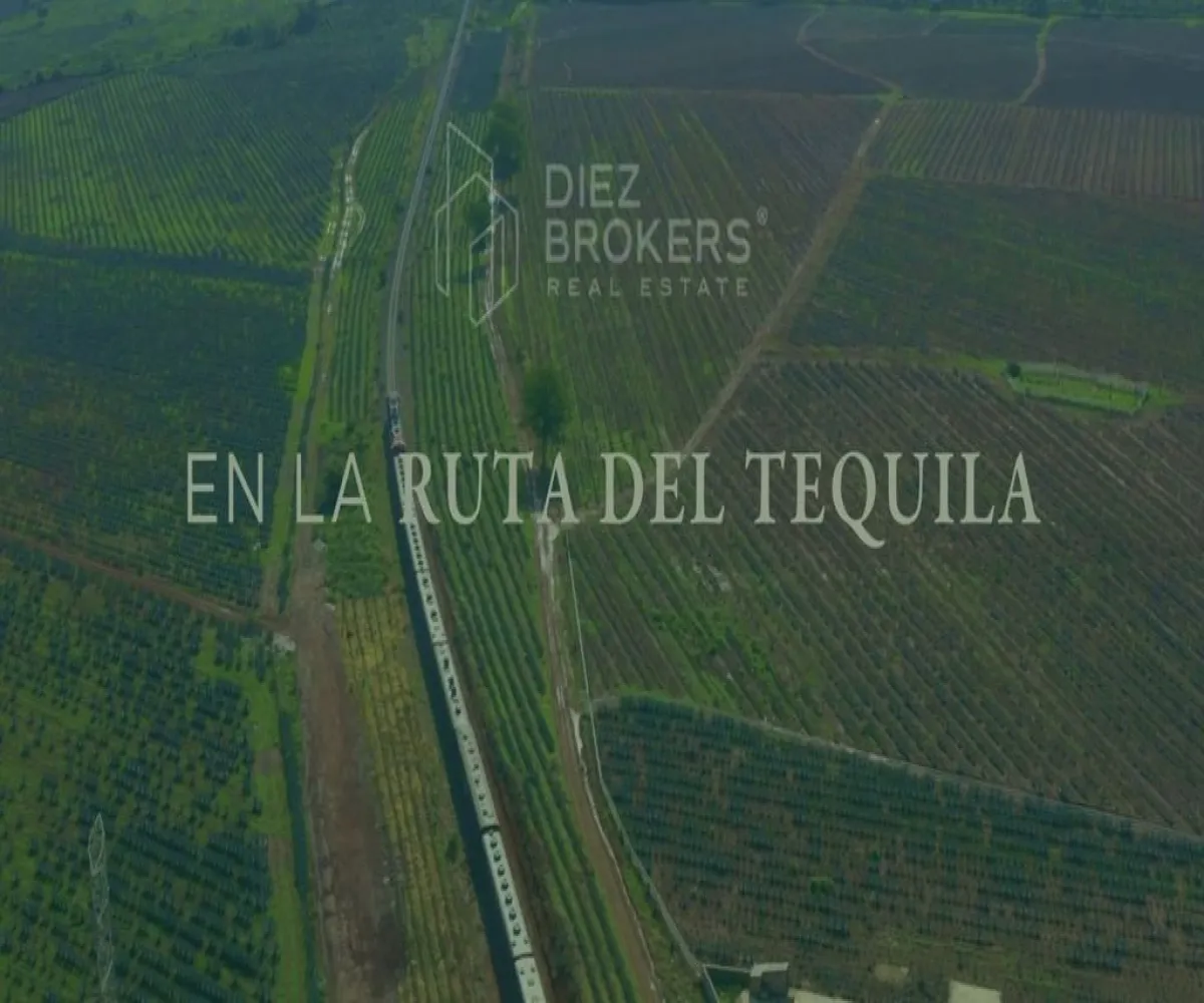 Terreno En Venta,Reserva de los encinos,Reserva de los encinos 0, Teuchitlan, Jalisco 46764,Reserva de los encinos,1,pke9l3m Terreno En Venta,Reserva de los encinos,Reserva de los encinos 0, Teuchitlan, Jalisco 46764,Reserva de los encinos,1,pke9l3m