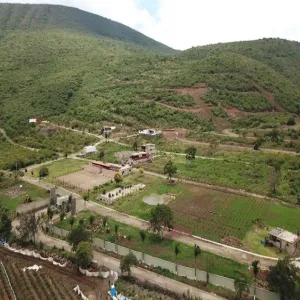 Terreno En Venta,Viñedos Lake,Camino a San Martin 1000 M8 L266, Jocotepec, Jalisco 45820,Camino a San Martin,pjwqWZN