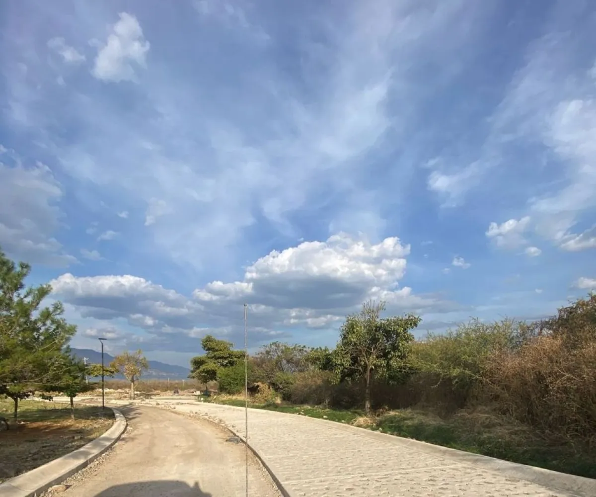 Terreno En Venta,Viñedos Lake,Camino a San Martin 1000 M8 L266, Jocotepec, Jalisco 45820,Camino a San Martin,pjwqWZN Terreno En Venta,Viñedos Lake,Camino a San Martin 1000 M8 L266, Jocotepec, Jalisco 45820,Camino a San Martin,pjwqWZN
