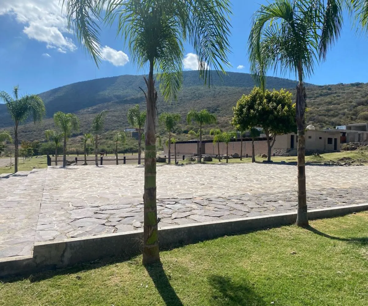 Terreno En Venta,Viñedos Lake,Camino a San Martin 1000 M8 L266, Jocotepec, Jalisco 45820,Camino a San Martin,pjwqWZN Terreno En Venta,Viñedos Lake,Camino a San Martin 1000 M8 L266, Jocotepec, Jalisco 45820,Camino a San Martin,pjwqWZN