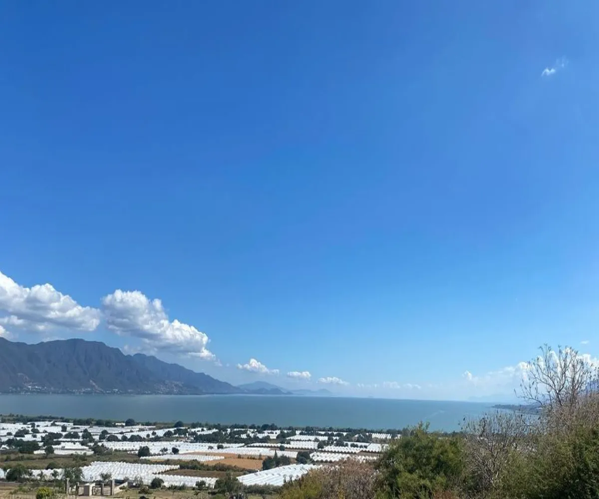 Terreno En Venta,Viñedos Lake,Camino a San Martin 1000 M8 L266, Jocotepec, Jalisco 45820,Camino a San Martin,pjwqWZN Terreno En Venta,Viñedos Lake,Camino a San Martin 1000 M8 L266, Jocotepec, Jalisco 45820,Camino a San Martin,pjwqWZN