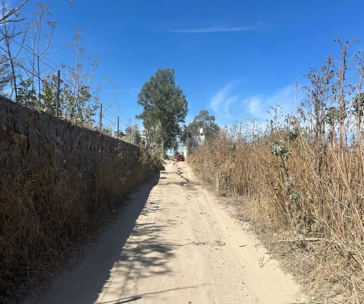 Terreno En Venta,SAN MARTIN DE LAS FLORES S/N, San Pedro Tlaquepaque, Jalisco 45629,SAN MARTIN DE LAS FLORES,pUclHDe Terreno En Venta,SAN MARTIN DE LAS FLORES S/N, San Pedro Tlaquepaque, Jalisco 45629,SAN MARTIN DE LAS FLORES,pUclHDe