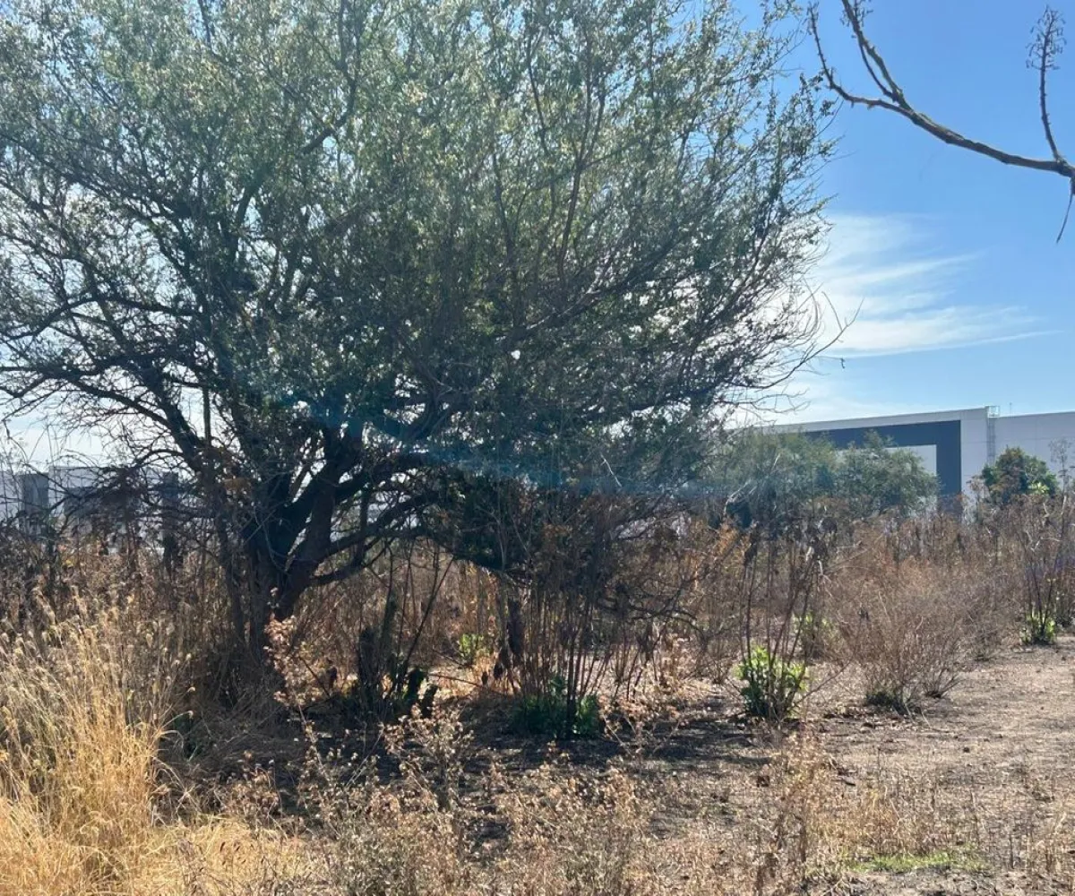 Terreno En Venta,SAN MARTIN DE LAS FLORES S/N, San Pedro Tlaquepaque, Jalisco 45629,SAN MARTIN DE LAS FLORES,pUclHDe Terreno En Venta,SAN MARTIN DE LAS FLORES S/N, San Pedro Tlaquepaque, Jalisco 45629,SAN MARTIN DE LAS FLORES,pUclHDe