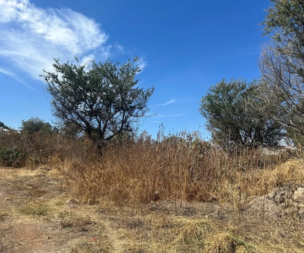 Terreno En Venta,SAN MARTIN DE LAS FLORES S/N, San Pedro Tlaquepaque, Jalisco 45629,SAN MARTIN DE LAS FLORES,pUclHDe Terreno En Venta,SAN MARTIN DE LAS FLORES S/N, San Pedro Tlaquepaque, Jalisco 45629,SAN MARTIN DE LAS FLORES,pUclHDe