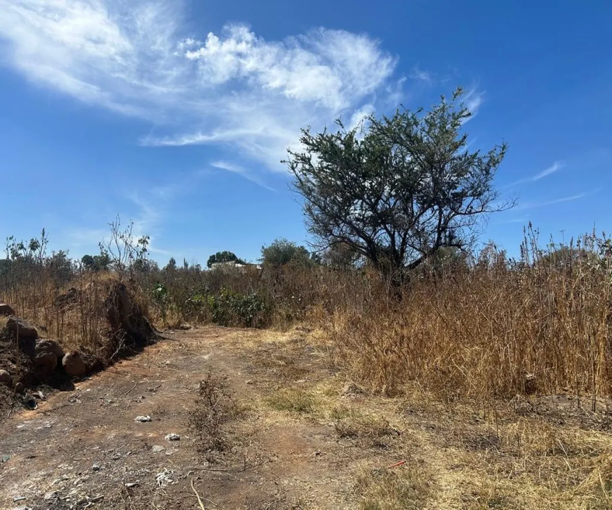 Terreno En Venta,SAN MARTIN DE LAS FLORES S/N, San Pedro Tlaquepaque, Jalisco 45629,SAN MARTIN DE LAS FLORES,pUclHDe Terreno En Venta,SAN MARTIN DE LAS FLORES S/N, San Pedro Tlaquepaque, Jalisco 45629,SAN MARTIN DE LAS FLORES,pUclHDe