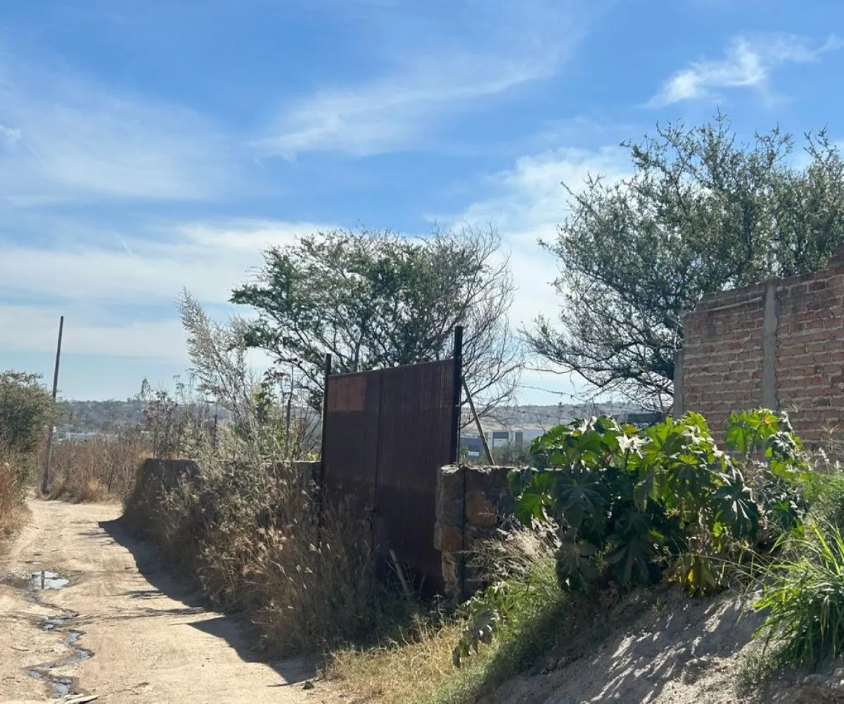 Terreno En Venta,SAN MARTIN DE LAS FLORES S/N, San Pedro Tlaquepaque, Jalisco 45629,SAN MARTIN DE LAS FLORES,pUclHDe Terreno En Venta,SAN MARTIN DE LAS FLORES S/N, San Pedro Tlaquepaque, Jalisco 45629,SAN MARTIN DE LAS FLORES,pUclHDe