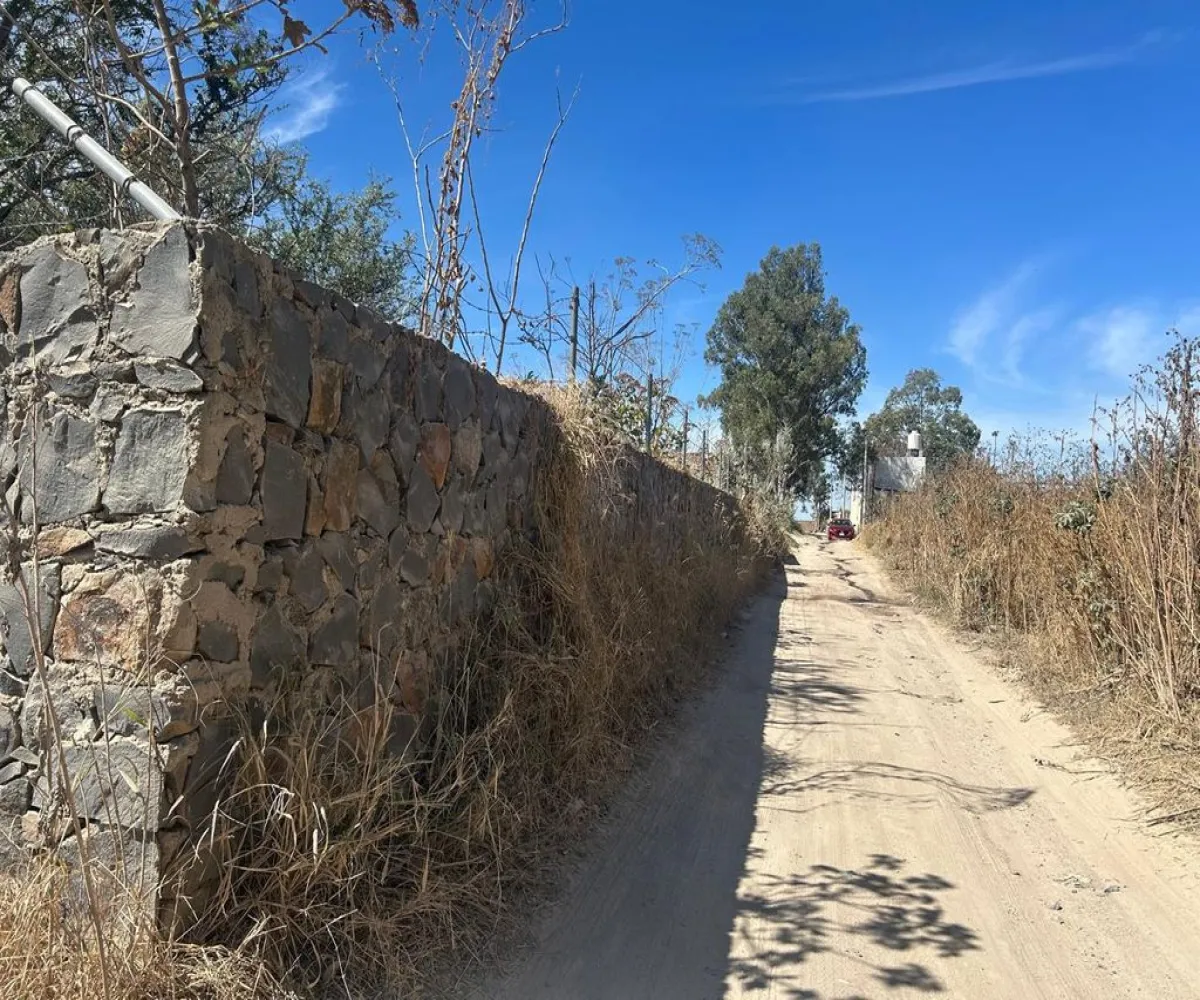Terreno En Venta,SAN MARTIN DE LAS FLORES S/N, San Pedro Tlaquepaque, Jalisco 45629,SAN MARTIN DE LAS FLORES,pUclHDe Terreno En Venta,SAN MARTIN DE LAS FLORES S/N, San Pedro Tlaquepaque, Jalisco 45629,SAN MARTIN DE LAS FLORES,pUclHDe
