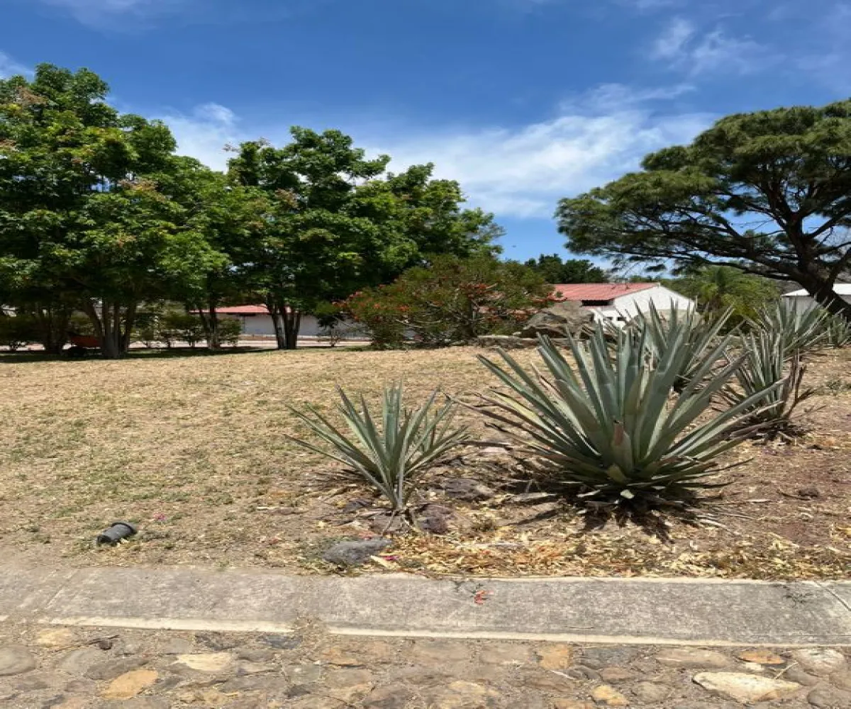 Terreno En Venta,FRACCIONAMIENTO RIO PLATA,FRACCIONAMIENTO RIO PLATA |, El Arenal, Jalisco 45350,FRACCIONAMIENTO RIO PLATA,pS4T5mZ Terreno En Venta,FRACCIONAMIENTO RIO PLATA,FRACCIONAMIENTO RIO PLATA |, El Arenal, Jalisco 45350,FRACCIONAMIENTO RIO PLATA,pS4T5mZ