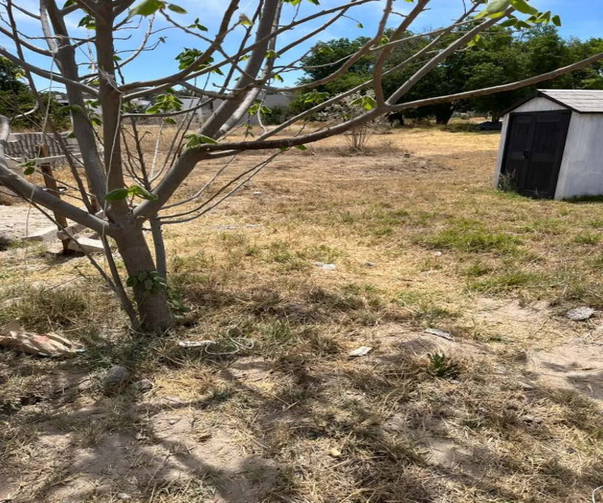 Terreno En Venta,FRACCIONAMIENTO RIO PLATA,FRACCIONAMIENTO RIO PLATA |, El Arenal, Jalisco 45350,FRACCIONAMIENTO RIO PLATA,pS4T5mZ Terreno En Venta,FRACCIONAMIENTO RIO PLATA,FRACCIONAMIENTO RIO PLATA |, El Arenal, Jalisco 45350,FRACCIONAMIENTO RIO PLATA,pS4T5mZ