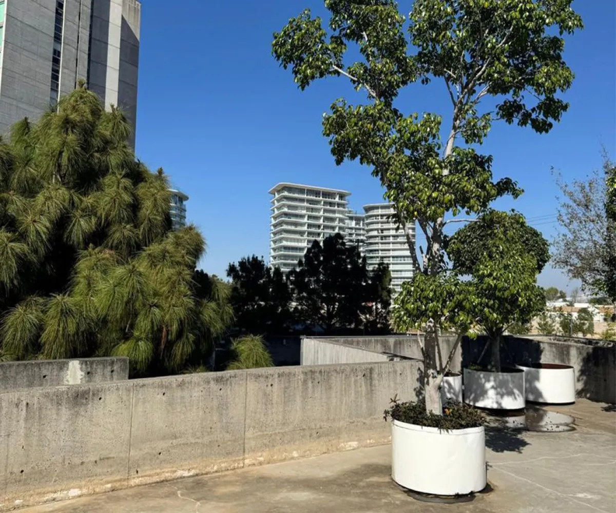 Departamento En Venta,Valle Real,Paseo Valle Real 1222, Zapopan, Jalisco 45019, 2 Habitaciones,2 Baños,Paseo Valle Real,1,p7w6L9M