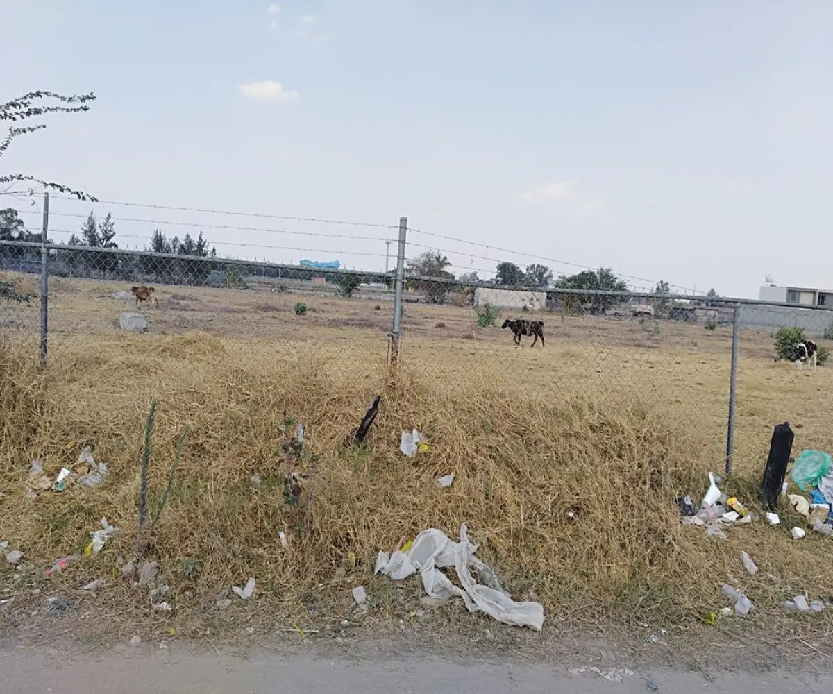 Terreno En Venta,Paseos del Prado,Camino Real a Agua Amarilla 362, Tlajomulco de Zúñiga, Jalisco 45610,Camino Real a Agua Amarilla,phR3WBE Terreno En Venta,Paseos del Prado,Camino Real a Agua Amarilla 362, Tlajomulco de Zúñiga, Jalisco 45610,Camino Real a Agua Amarilla,phR3WBE