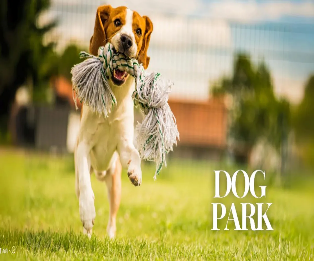 Terreno En Venta,Bosques de Santa Anita ,Boulevard Bosques de Santa Anita L-22, Tlajomulco de Zúñiga, Jalisco 45640,Boulevard Bosques de Santa Anita,ppGpMQ6 Terreno En Venta,Bosques de Santa Anita ,Boulevard Bosques de Santa Anita L-22, Tlajomulco de Zúñiga, Jalisco 45640,Boulevard Bosques de Santa Anita,ppGpMQ6