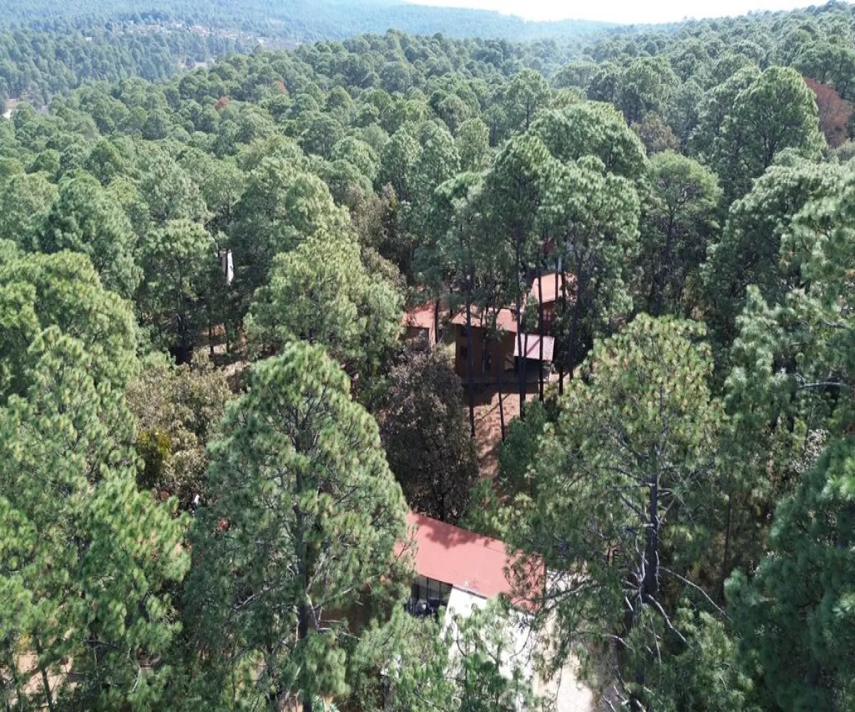 Terreno En Venta,Hacienda San Francisco ,Hacienda San Francisco S/N, Tapalpa, Jalisco 49340,Hacienda San Francisco ,pvDfWLa Terreno En Venta,Hacienda San Francisco ,Hacienda San Francisco S/N, Tapalpa, Jalisco 49340,Hacienda San Francisco ,pvDfWLa