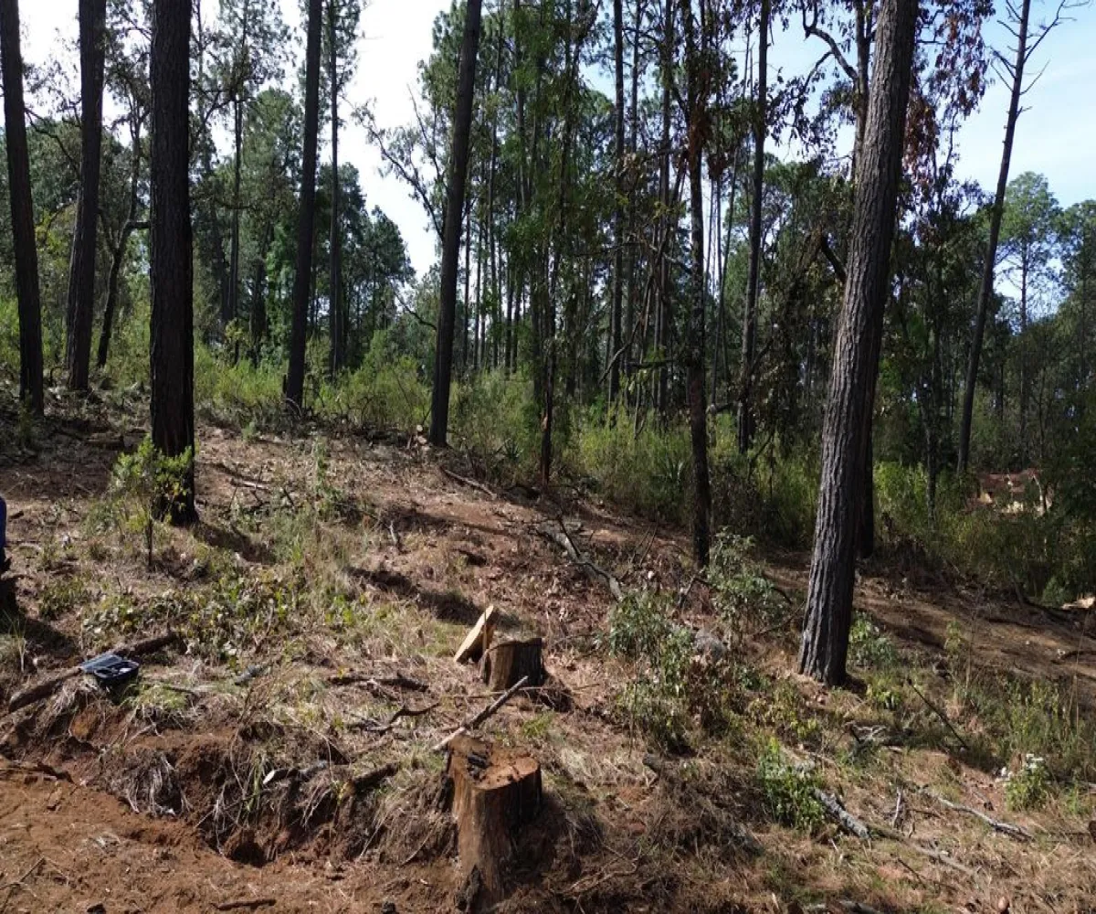 Terreno En Venta,Hacienda San Francisco ,Hacienda San Francisco S/N, Tapalpa, Jalisco 49340,Hacienda San Francisco ,pvDfWLa Terreno En Venta,Hacienda San Francisco ,Hacienda San Francisco S/N, Tapalpa, Jalisco 49340,Hacienda San Francisco ,pvDfWLa