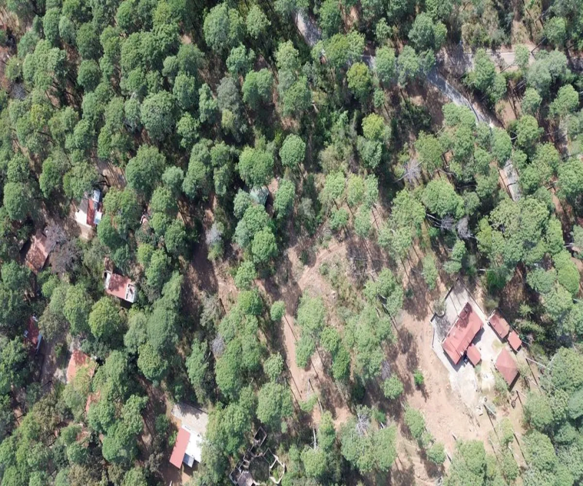 Terreno En Venta,Hacienda San Francisco ,Hacienda San Francisco S/N, Tapalpa, Jalisco 49340,Hacienda San Francisco ,pvDfWLa Terreno En Venta,Hacienda San Francisco ,Hacienda San Francisco S/N, Tapalpa, Jalisco 49340,Hacienda San Francisco ,pvDfWLa