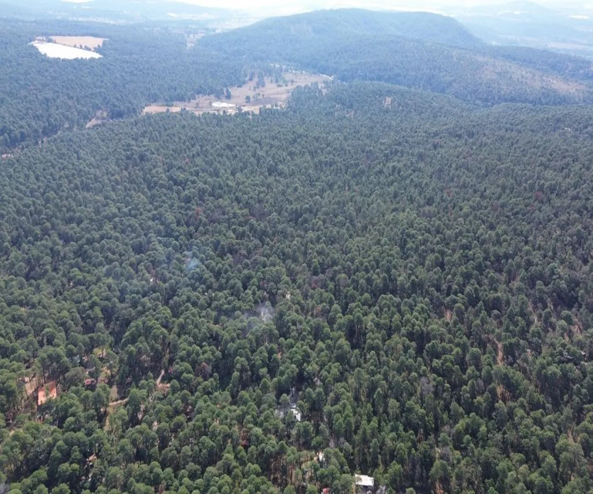 Terreno En Venta,Hacienda San Francisco ,Hacienda San Francisco S/N, Tapalpa, Jalisco 49340,Hacienda San Francisco ,pvDfWLa Terreno En Venta,Hacienda San Francisco ,Hacienda San Francisco S/N, Tapalpa, Jalisco 49340,Hacienda San Francisco ,pvDfWLa