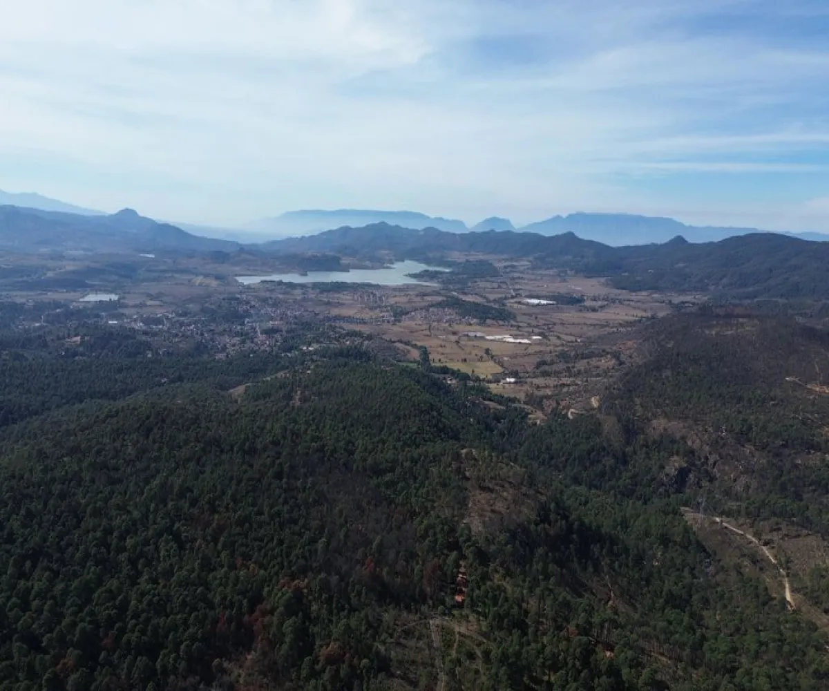 Terreno En Venta,Hacienda San Francisco ,Hacienda San Francisco S/N, Tapalpa, Jalisco 49340,Hacienda San Francisco ,pvDfWLa Terreno En Venta,Hacienda San Francisco ,Hacienda San Francisco S/N, Tapalpa, Jalisco 49340,Hacienda San Francisco ,pvDfWLa