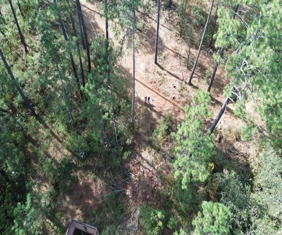 Terreno En Venta,Hacienda San Francisco ,Hacienda San Francisco S/N, Tapalpa, Jalisco 49340,Hacienda San Francisco ,pvDfWLa Terreno En Venta,Hacienda San Francisco ,Hacienda San Francisco S/N, Tapalpa, Jalisco 49340,Hacienda San Francisco ,pvDfWLa