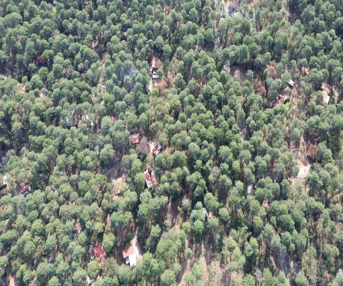 Terreno En Venta,Hacienda San Francisco ,Hacienda San Francisco S/N, Tapalpa, Jalisco 49340,Hacienda San Francisco ,pvDfWLa Terreno En Venta,Hacienda San Francisco ,Hacienda San Francisco S/N, Tapalpa, Jalisco 49340,Hacienda San Francisco ,pvDfWLa