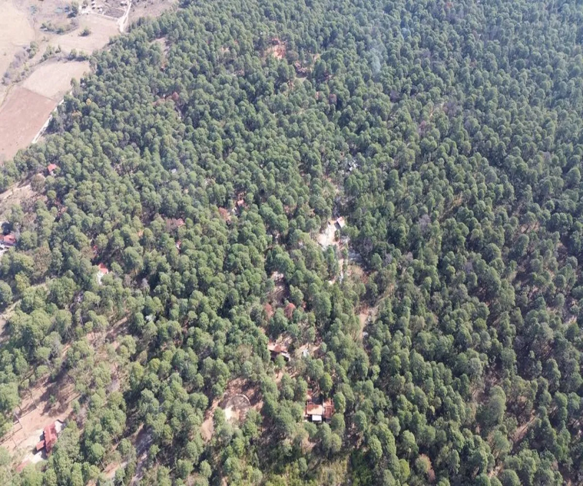 Terreno En Venta,Hacienda San Francisco ,Hacienda San Francisco S/N, Tapalpa, Jalisco 49340,Hacienda San Francisco ,pvDfWLa Terreno En Venta,Hacienda San Francisco ,Hacienda San Francisco S/N, Tapalpa, Jalisco 49340,Hacienda San Francisco ,pvDfWLa