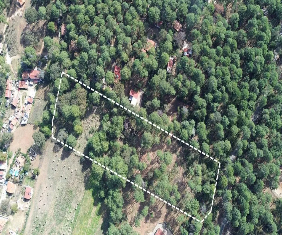 Terreno En Venta,Hacienda San Francisco ,Hacienda San Francisco S/N, Tapalpa, Jalisco 49340,Hacienda San Francisco ,pvDfWLa Terreno En Venta,Hacienda San Francisco ,Hacienda San Francisco S/N, Tapalpa, Jalisco 49340,Hacienda San Francisco ,pvDfWLa