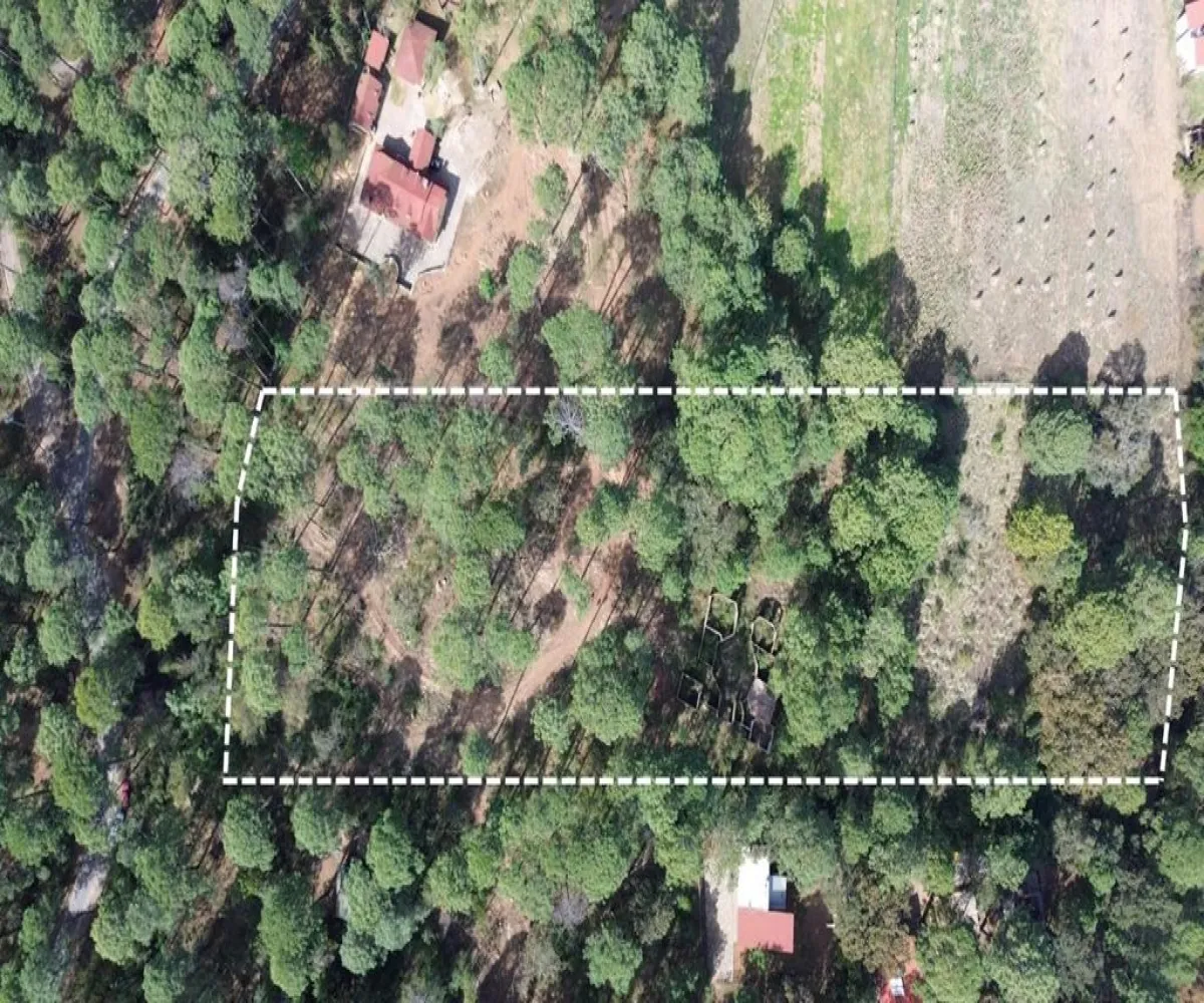 Terreno En Venta,Hacienda San Francisco ,Hacienda San Francisco S/N, Tapalpa, Jalisco 49340,Hacienda San Francisco ,pvDfWLa Terreno En Venta,Hacienda San Francisco ,Hacienda San Francisco S/N, Tapalpa, Jalisco 49340,Hacienda San Francisco ,pvDfWLa