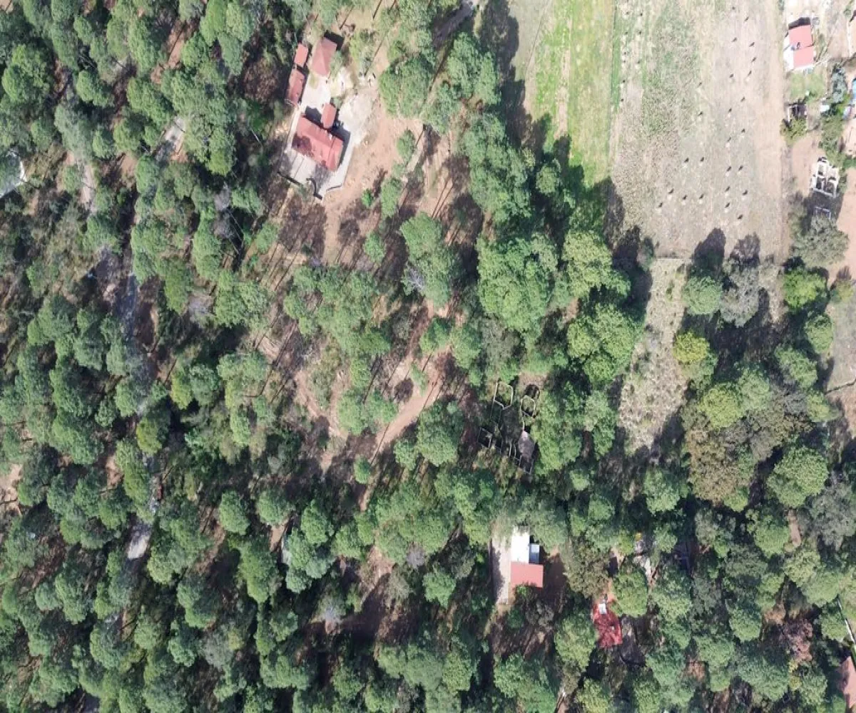 Terreno En Venta,Hacienda San Francisco ,Hacienda San Francisco S/N, Tapalpa, Jalisco 49340,Hacienda San Francisco ,pvDfWLa Terreno En Venta,Hacienda San Francisco ,Hacienda San Francisco S/N, Tapalpa, Jalisco 49340,Hacienda San Francisco ,pvDfWLa