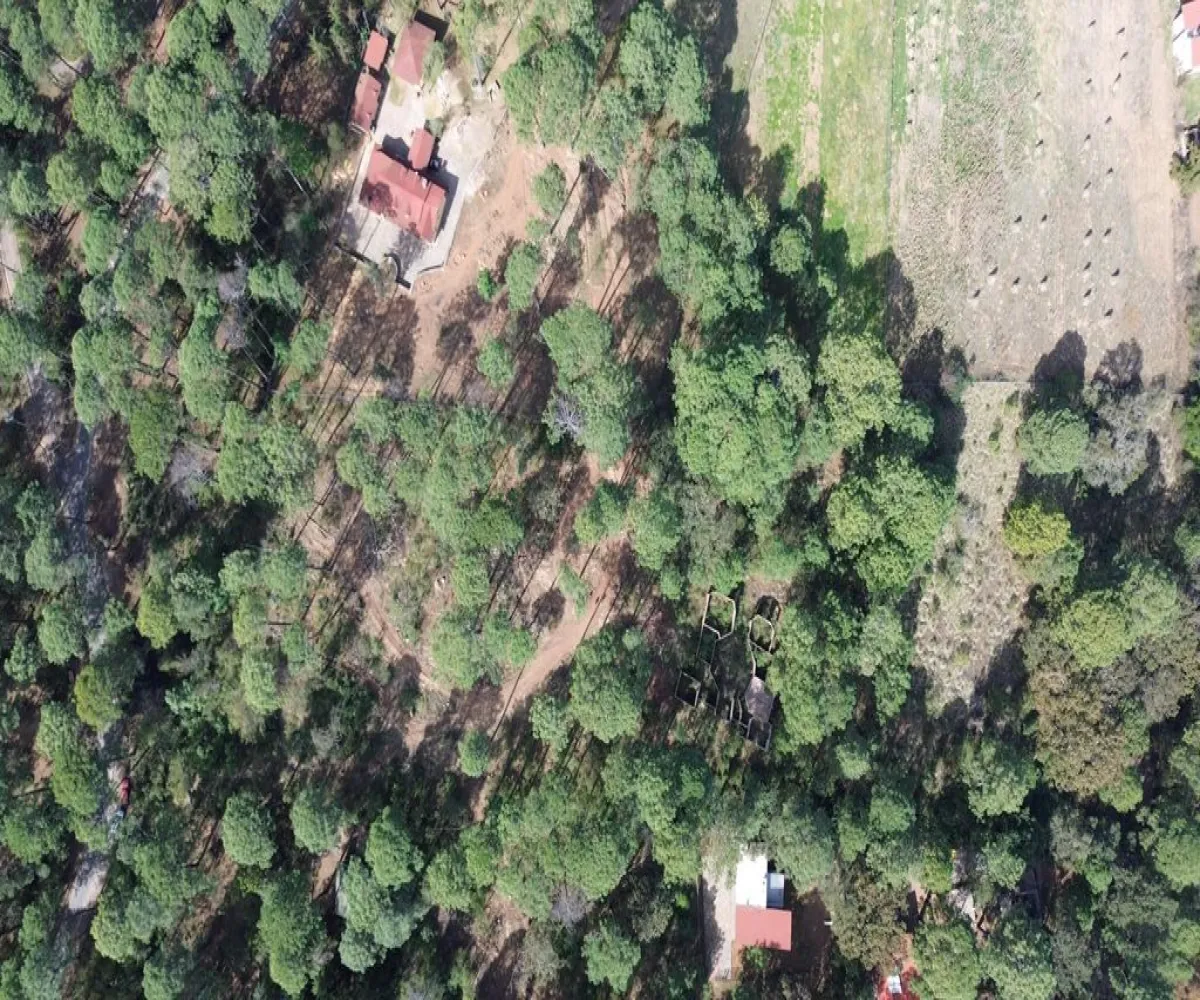 Terreno En Venta,Hacienda San Francisco ,Hacienda San Francisco S/N, Tapalpa, Jalisco 49340,Hacienda San Francisco ,pvDfWLa Terreno En Venta,Hacienda San Francisco ,Hacienda San Francisco S/N, Tapalpa, Jalisco 49340,Hacienda San Francisco ,pvDfWLa