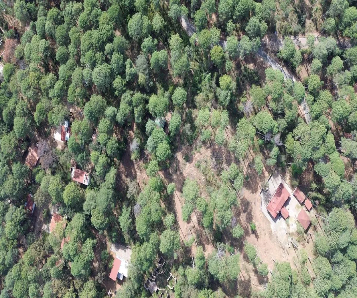 Terreno En Venta,Hacienda San Francisco ,Hacienda San Francisco S/N, Tapalpa, Jalisco 49340,Hacienda San Francisco ,pvDfWLa Terreno En Venta,Hacienda San Francisco ,Hacienda San Francisco S/N, Tapalpa, Jalisco 49340,Hacienda San Francisco ,pvDfWLa