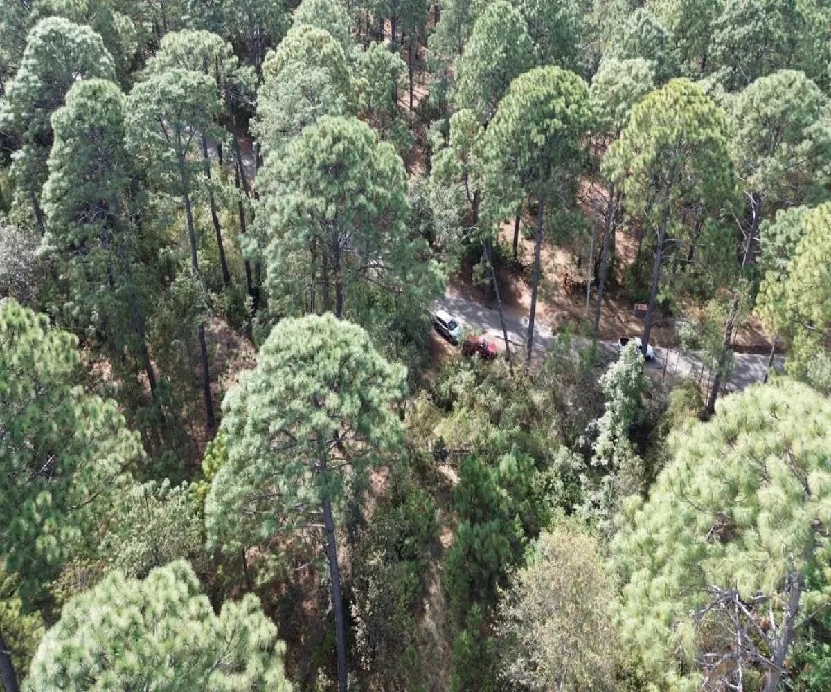 Terreno En Venta,Hacienda San Francisco ,Hacienda San Francisco S/N, Tapalpa, Jalisco 49340,Hacienda San Francisco ,pvDfWLa Terreno En Venta,Hacienda San Francisco ,Hacienda San Francisco S/N, Tapalpa, Jalisco 49340,Hacienda San Francisco ,pvDfWLa