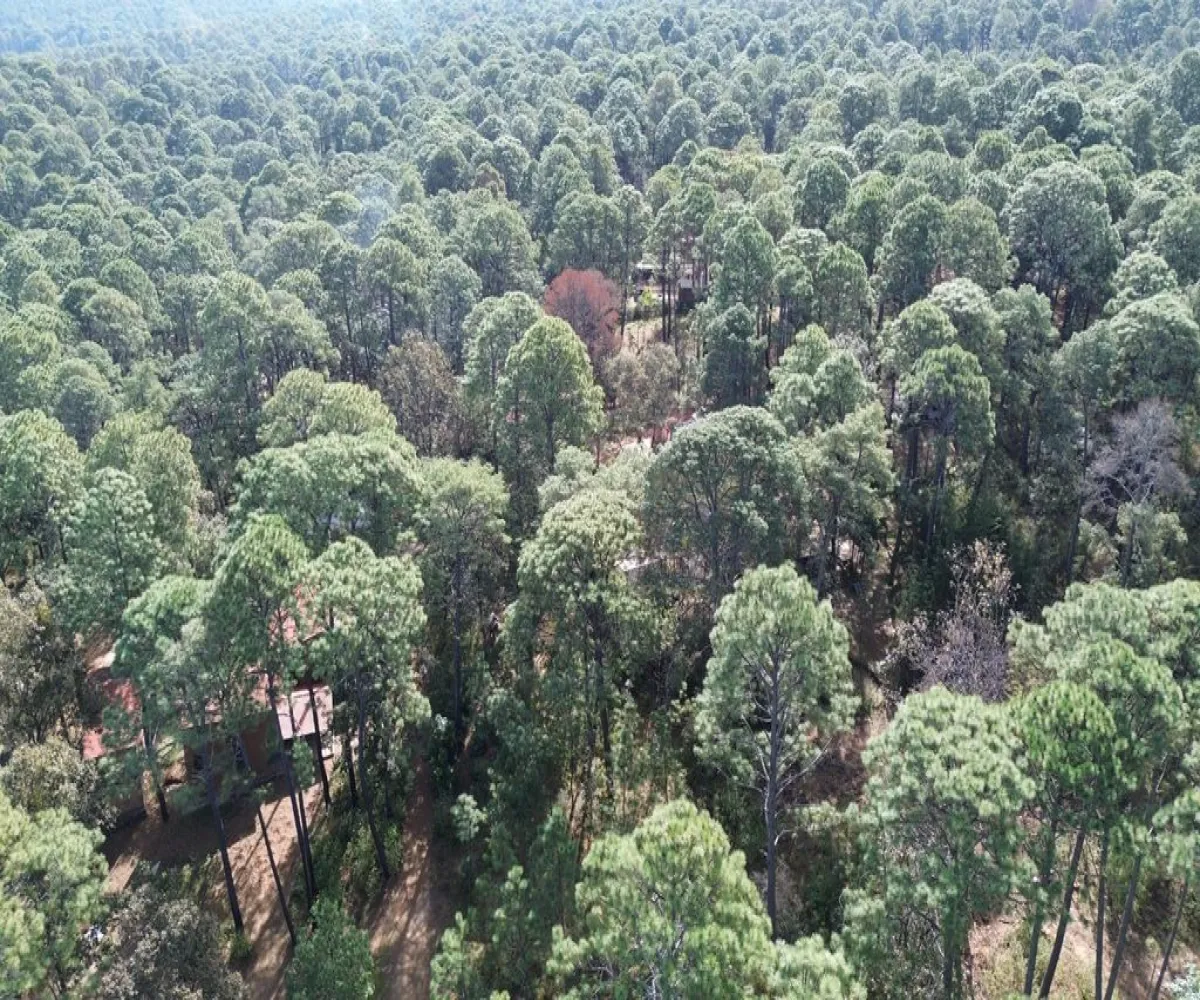 Terreno En Venta,Hacienda San Francisco ,Hacienda San Francisco S/N, Tapalpa, Jalisco 49340,Hacienda San Francisco ,pvDfWLa Terreno En Venta,Hacienda San Francisco ,Hacienda San Francisco S/N, Tapalpa, Jalisco 49340,Hacienda San Francisco ,pvDfWLa