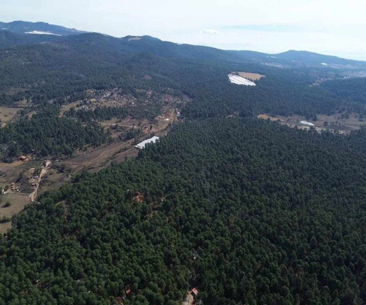 Terreno En Venta,Hacienda San Francisco ,Hacienda San Francisco S/N, Tapalpa, Jalisco 49340,Hacienda San Francisco ,pvDfWLa Terreno En Venta,Hacienda San Francisco ,Hacienda San Francisco S/N, Tapalpa, Jalisco 49340,Hacienda San Francisco ,pvDfWLa