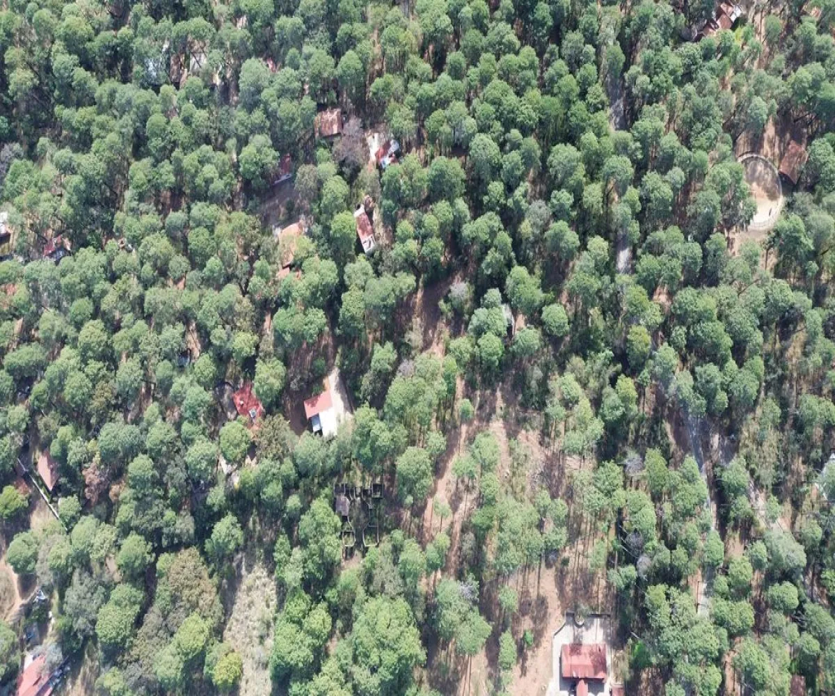 Terreno En Venta,Hacienda San Francisco ,Hacienda San Francisco S/N, Tapalpa, Jalisco 49340,Hacienda San Francisco ,pvDfWLa Terreno En Venta,Hacienda San Francisco ,Hacienda San Francisco S/N, Tapalpa, Jalisco 49340,Hacienda San Francisco ,pvDfWLa