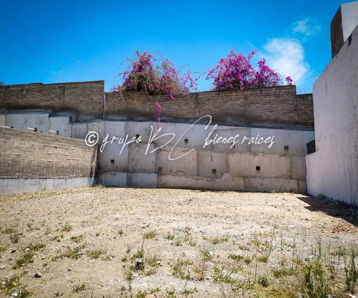 Terreno En Venta,Adamar,Avenida Adamar 872 85, Tlajomulco de Zúñiga, Jalisco 45645,Avenida Adamar,p6TnVU4 Terreno En Venta,Adamar,Avenida Adamar 872 85, Tlajomulco de Zúñiga, Jalisco 45645,Avenida Adamar,p6TnVU4