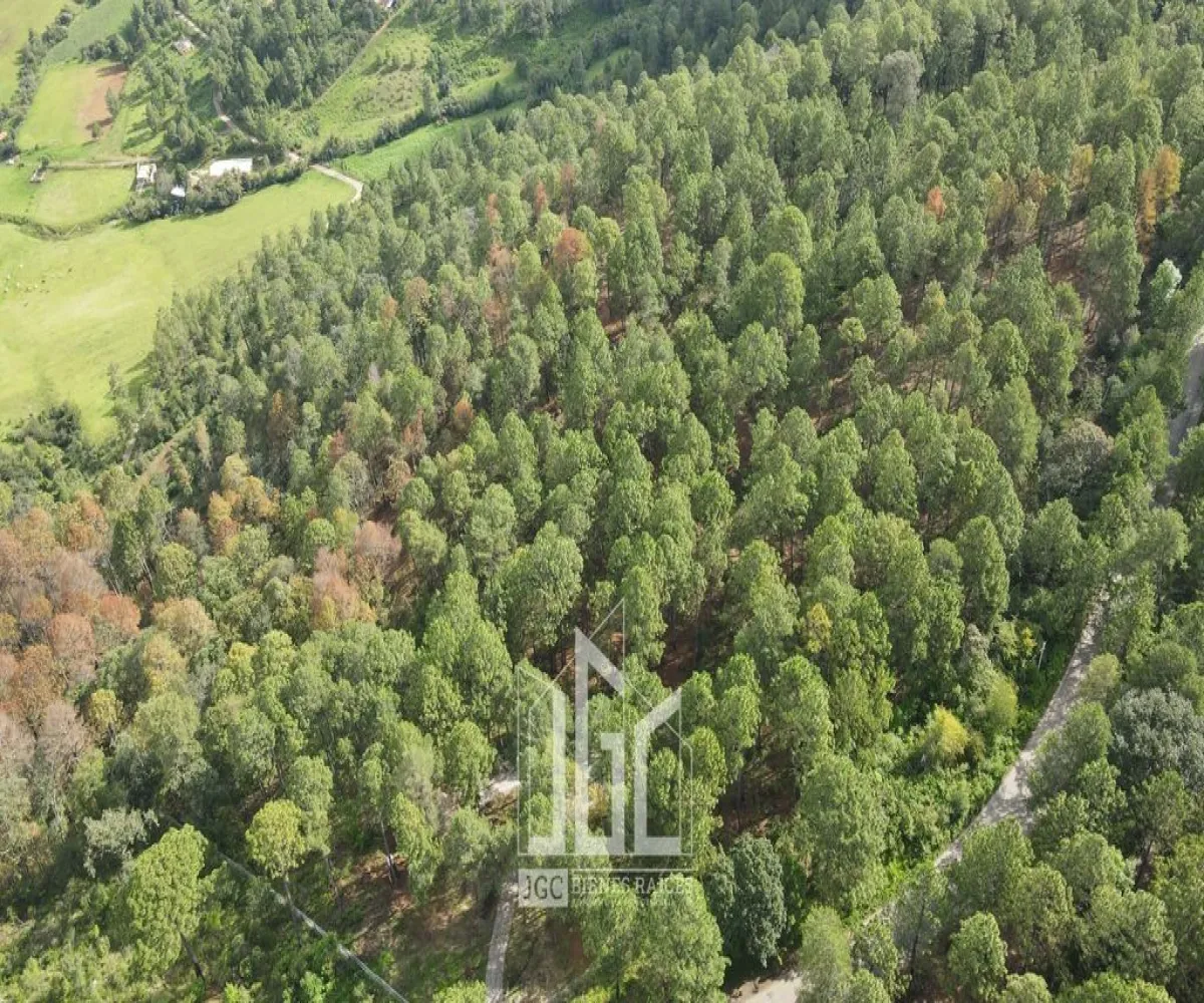 Terreno En Venta,Bosques de la Cañada,Bosques de la Cañada S/N, Tapalpa, Jalisco 49368,Bosques de la Cañada,p7EVZRy Terreno En Venta,Bosques de la Cañada,Bosques de la Cañada S/N, Tapalpa, Jalisco 49368,Bosques de la Cañada,p7EVZRy