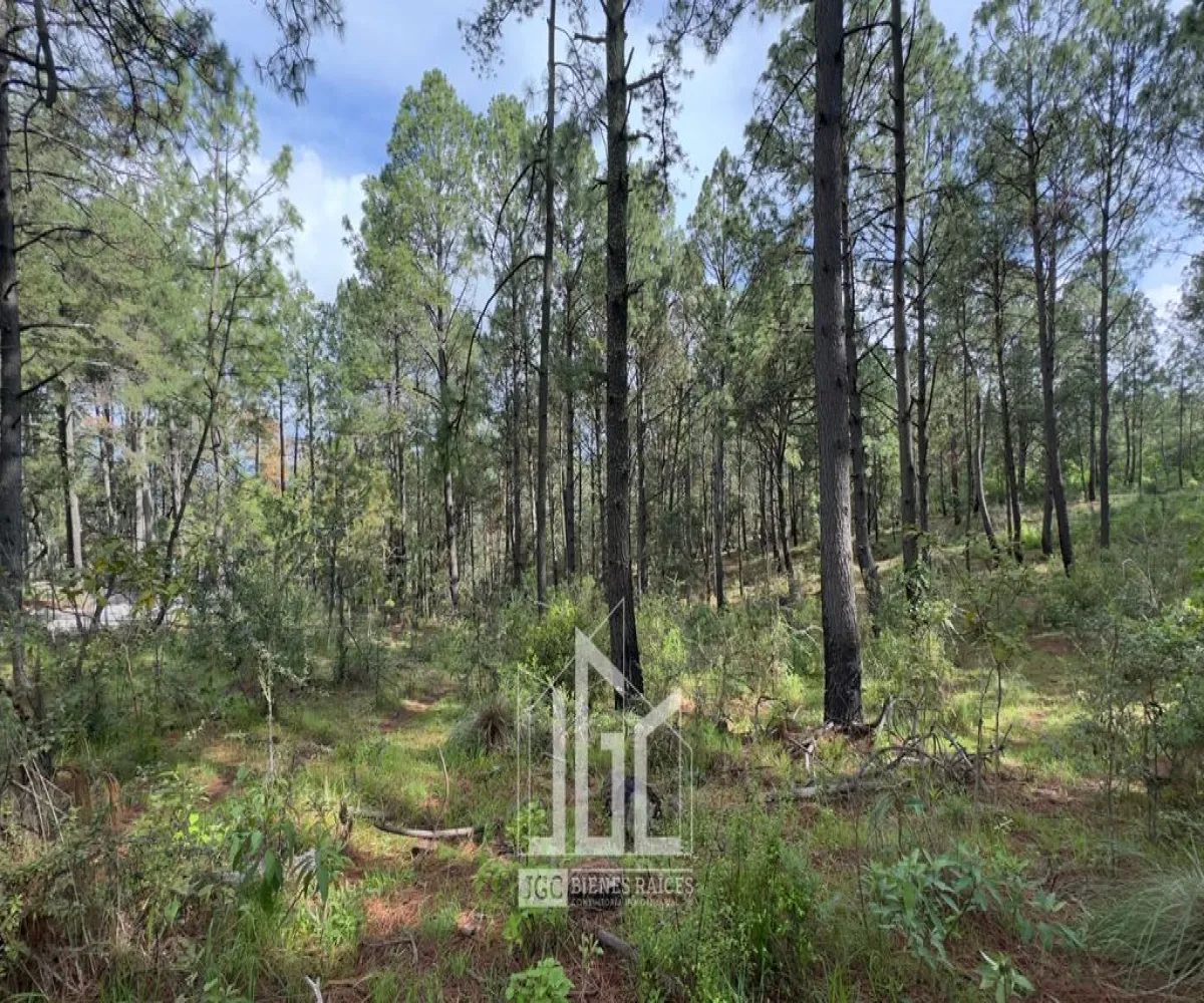 Terreno En Venta,Bosques de la Cañada,Bosques de la Cañada S/N, Tapalpa, Jalisco 49368,Bosques de la Cañada,p7EVZRy Terreno En Venta,Bosques de la Cañada,Bosques de la Cañada S/N, Tapalpa, Jalisco 49368,Bosques de la Cañada,p7EVZRy