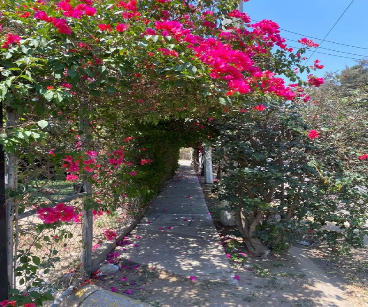 Casa En Venta,Bonita,Calle Villa del Mar 24, Zapopan, Jalisco 45230, 2 Habitaciones,1 Baño,Calle Villa del Mar,2,plDAsPb Casa En Venta,Bonita,Calle Villa del Mar 24, Zapopan, Jalisco 45230, 2 Habitaciones,1 Baño,Calle Villa del Mar,2,plDAsPb