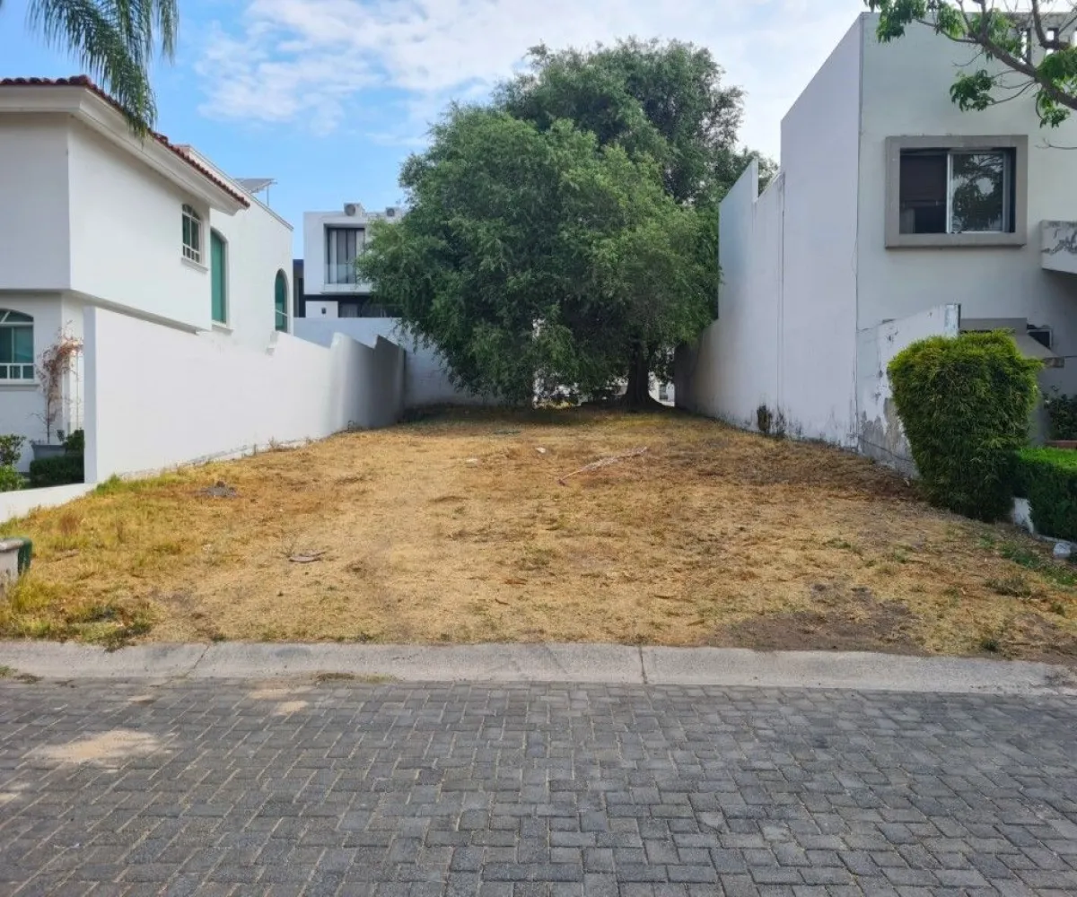 Terreno En Venta,Rancho San José del Tajo,Av. de Los Laureles 113 S/N, Tlajomulco de Zúñiga, Jalisco 45645,Av. de Los Laureles 113,pXbfOvi Terreno En Venta,Rancho San José del Tajo,Av. de Los Laureles 113 S/N, Tlajomulco de Zúñiga, Jalisco 45645,Av. de Los Laureles 113,pXbfOvi