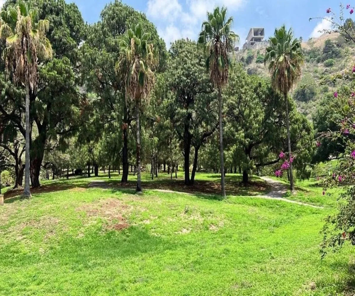 Terreno En Venta,Rancho San José del Tajo,Av. de Los Laureles 113 S/N, Tlajomulco de Zúñiga, Jalisco 45645,Av. de Los Laureles 113,pXbfOvi Terreno En Venta,Rancho San José del Tajo,Av. de Los Laureles 113 S/N, Tlajomulco de Zúñiga, Jalisco 45645,Av. de Los Laureles 113,pXbfOvi