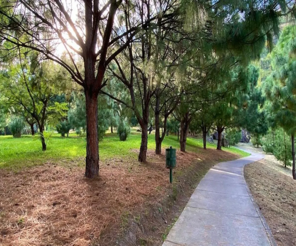 Terreno En Venta,Rancho San José del Tajo,Av. de Los Laureles 113 S/N, Tlajomulco de Zúñiga, Jalisco 45645,Av. de Los Laureles 113,pXbfOvi Terreno En Venta,Rancho San José del Tajo,Av. de Los Laureles 113 S/N, Tlajomulco de Zúñiga, Jalisco 45645,Av. de Los Laureles 113,pXbfOvi