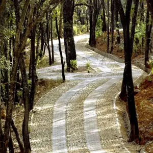 Terreno En Venta,Reserva de los Encinos S/N, Teuchitlán, Jalisco 46760,Reserva de los Encinos,pzKUUx9