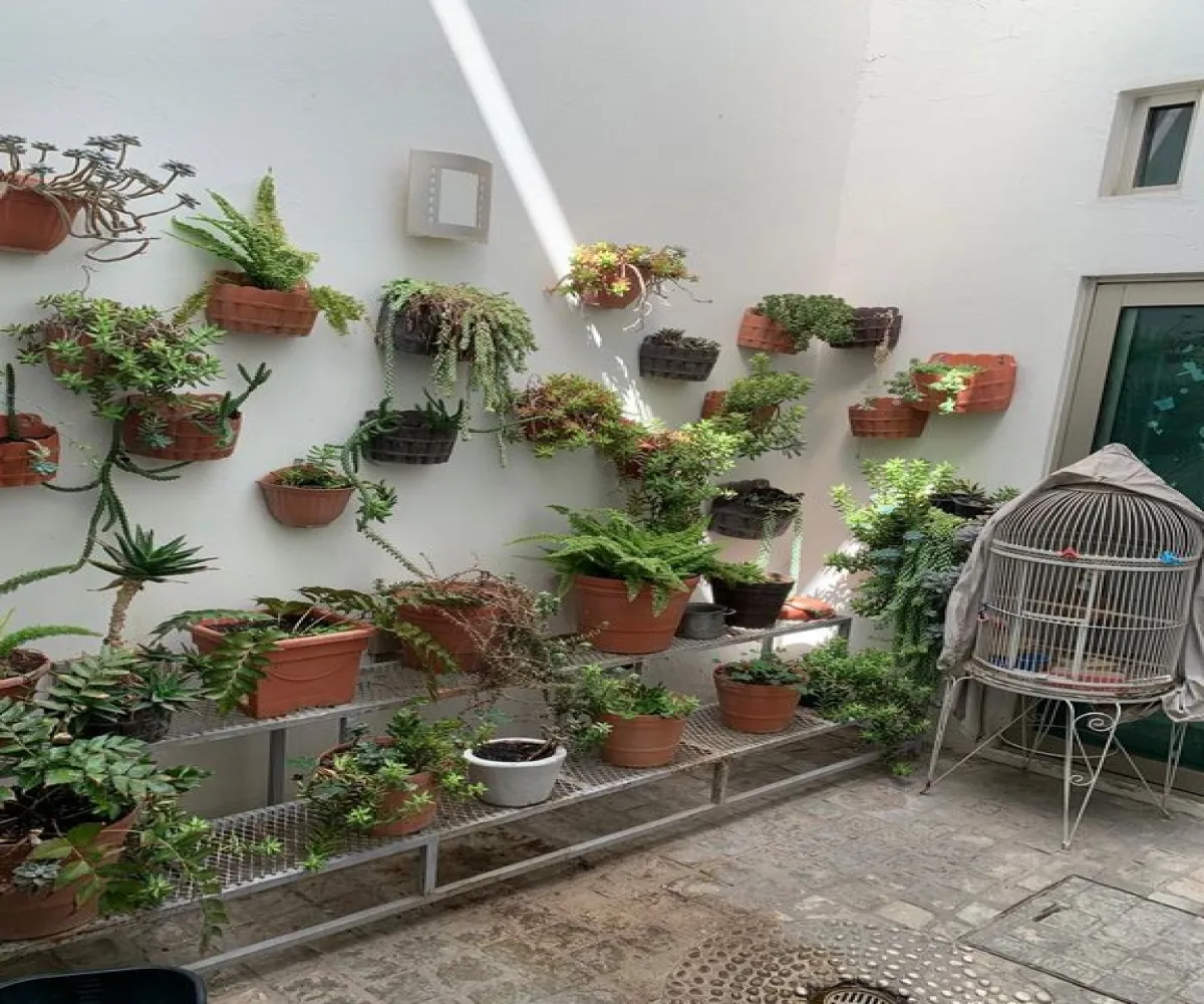 Casa En Venta,La Calma,Calle Escorpión 3413, Zapopan, Jalisco 45070, 3 Habitaciones,4 Baños,Calle Escorpión,2,pXyCqg9 Casa En Venta,La Calma,Calle Escorpión 3413, Zapopan, Jalisco 45070, 3 Habitaciones,4 Baños,Calle Escorpión,2,pXyCqg9