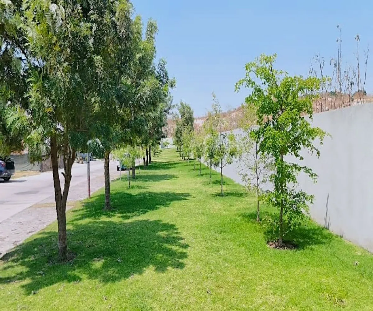 Terreno En Venta,Valle imperial,Calle Palmira 1235, Zapopan, Jalisco 45134,Calle Palmira,p38kovw