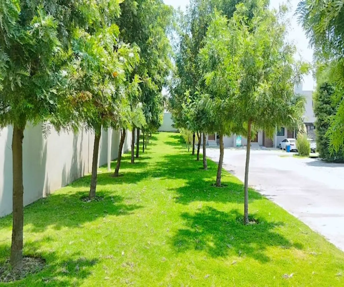 Terreno En Venta,Valle imperial,Calle Palmira 1235, Zapopan, Jalisco 45134,Calle Palmira,p38kovw